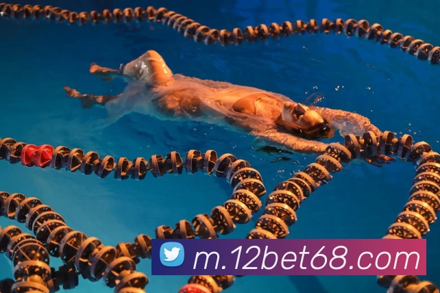 奖项4